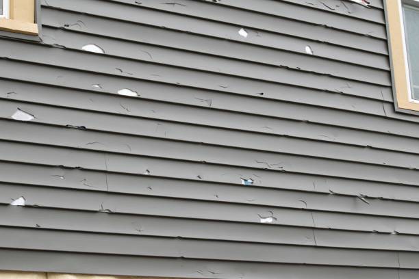 Affordable siding repair and maintenance services in Rocky Mount, NC